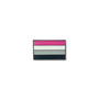 Asexual Flag Lapel Pin