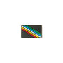 Disability Pride Flag Lapel Pin