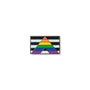 Straight Ally Flag Lapel Pin